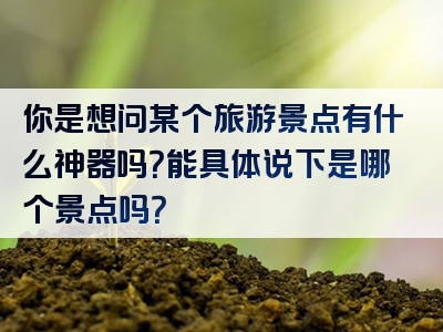 你是想问某个旅游景点有什么神器吗？能具体说下是哪个景点吗？