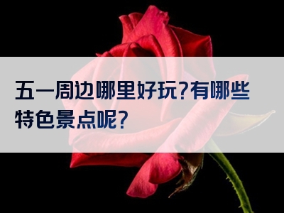五一周边哪里好玩？有哪些特色景点呢？