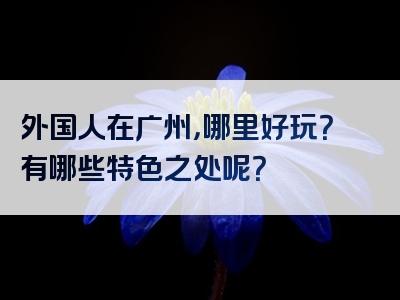 外国人在广州，哪里好玩？有哪些特色之处呢？
