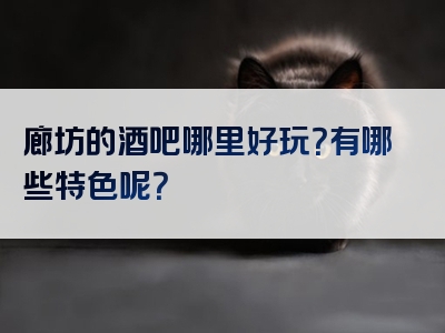 廊坊的酒吧哪里好玩？有哪些特色呢？