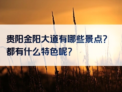 贵阳金阳大道有哪些景点？都有什么特色呢？