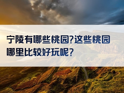 宁陵有哪些桃园？这些桃园哪里比较好玩呢？