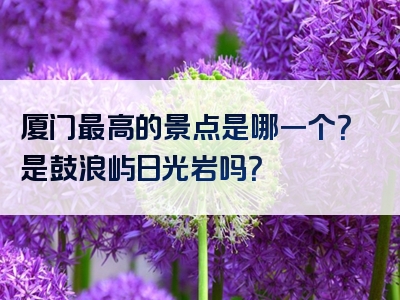 厦门最高的景点是哪一个？是鼓浪屿日光岩吗？