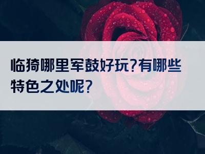 临猗哪里军鼓好玩？有哪些特色之处呢？