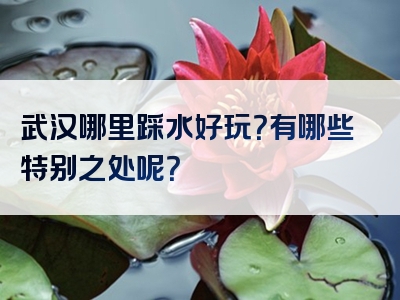 武汉哪里踩水好玩？有哪些特别之处呢？