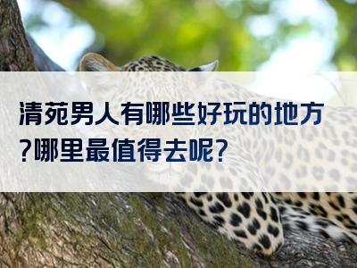 清苑男人有哪些好玩的地方？哪里最值得去呢？