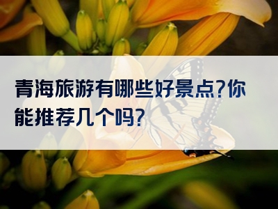 青海旅游有哪些好景点？你能推荐几个吗？