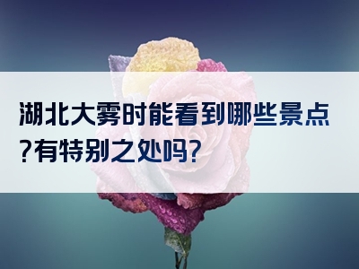 湖北大雾时能看到哪些景点？有特别之处吗？
