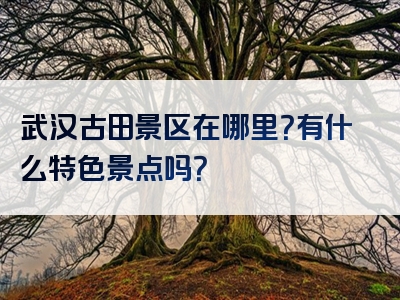 武汉古田景区在哪里？有什么特色景点吗？
