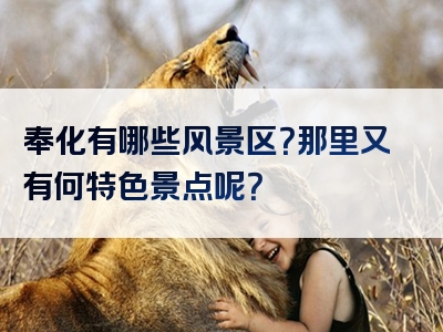 奉化有哪些风景区？那里又有何特色景点呢？
