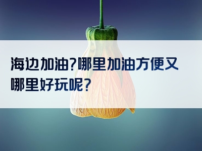 海边加油？哪里加油方便又哪里好玩呢？
