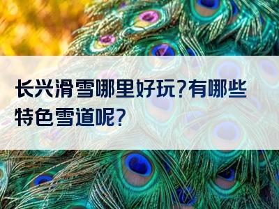 长兴滑雪哪里好玩？有哪些特色雪道呢？