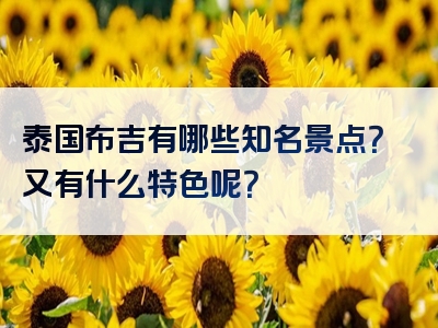 泰国布吉有哪些知名景点？又有什么特色呢？
