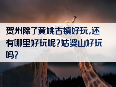 贺州除了黄姚古镇好玩，还有哪里好玩呢？姑婆山好玩吗？