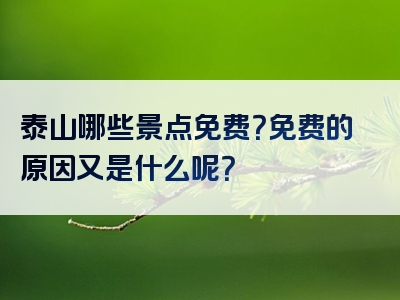 泰山哪些景点免费？免费的原因又是什么呢？