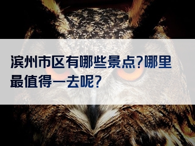 滨州市区有哪些景点？哪里最值得一去呢？