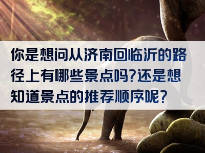 你是想问从济南回临沂的路径上有哪些景点吗？还是想知道景点的推荐顺序呢？