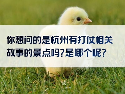 你想问的是杭州有打仗相关故事的景点吗？是哪个呢？