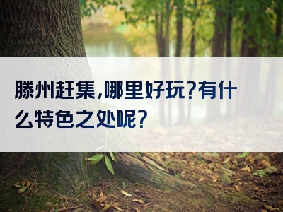 滕州赶集，哪里好玩？有什么特色之处呢？
