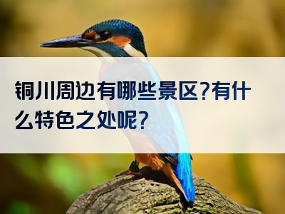 铜川周边有哪些景区?有什么特色之处呢?