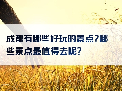 成都有哪些好玩的景点？哪些景点最值得去呢？
