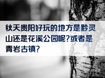秋天贵阳好玩的地方是黔灵山还是花溪公园呢？或者是青岩古镇？
