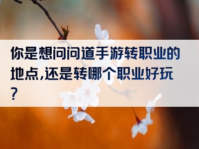 你是想问问道手游转职业的地点，还是转哪个职业好玩？