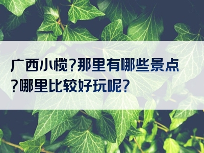 广西小榄？那里有哪些景点？哪里比较好玩呢？