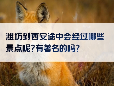 潍坊到西安途中会经过哪些景点呢？有著名的吗？