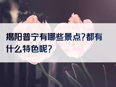 揭阳普宁有哪些景点？都有什么特色呢？
