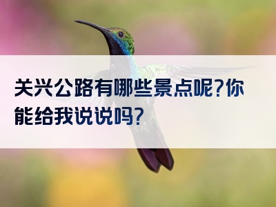 关兴公路有哪些景点呢？你能给我说说吗？