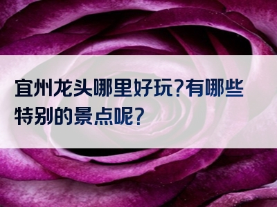 宜州龙头哪里好玩？有哪些特别的景点呢？