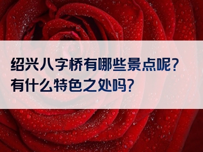 绍兴八字桥有哪些景点呢？有什么特色之处吗？