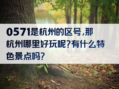 0571是杭州的区号，那杭州哪里好玩呢？有什么特色景点吗？