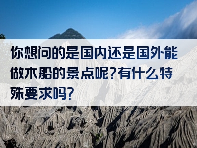 你想问的是国内还是国外能做木船的景点呢？有什么特殊要求吗？