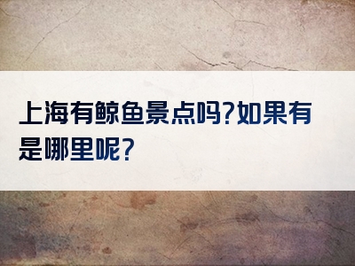 上海有鲸鱼景点吗？如果有是哪里呢？