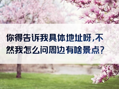 你得告诉我具体地址呀，不然我怎么问周边有啥景点？