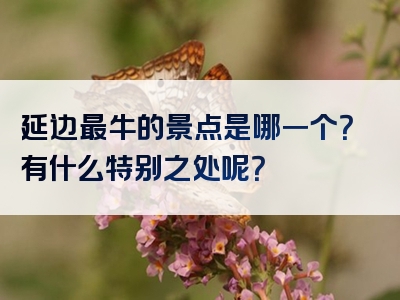 延边最牛的景点是哪一个？有什么特别之处呢？