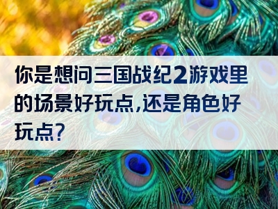 你是想问三国战纪2游戏里的场景好玩点，还是角色好玩点？