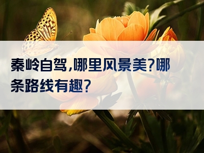 秦岭自驾，哪里风景美？哪条路线有趣？