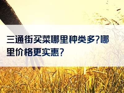 三通街买菜哪里种类多？哪里价格更实惠？