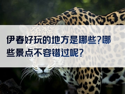 伊春好玩的地方是哪些？哪些景点不容错过呢？