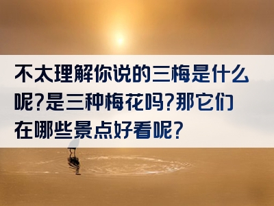 不太理解你说的三梅是什么呢？是三种梅花吗？那它们在哪些景点好看呢？