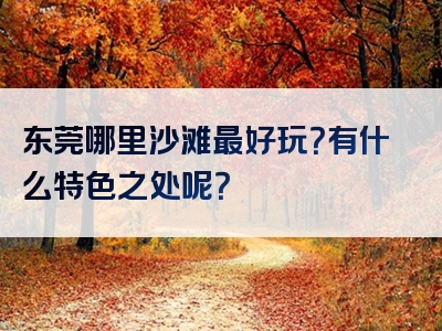 东莞哪里沙滩最好玩？有什么特色之处呢？