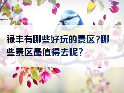 禄丰有哪些好玩的景区？哪些景区最值得去呢？