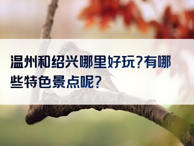 温州和绍兴哪里好玩？有哪些特色景点呢？