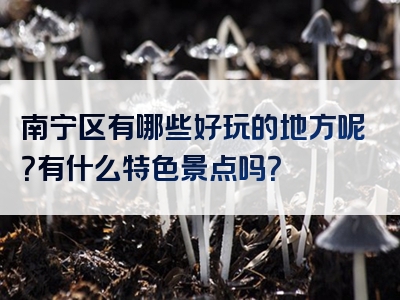 南宁区有哪些好玩的地方呢？有什么特色景点吗？
