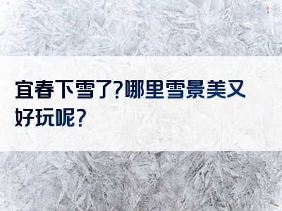 宜春下雪了？哪里雪景美又好玩呢？