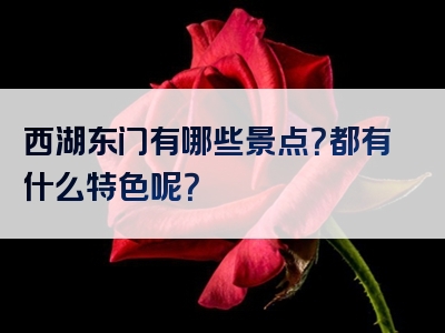 西湖东门有哪些景点？都有什么特色呢？