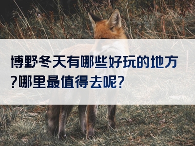 博野冬天有哪些好玩的地方？哪里最值得去呢？